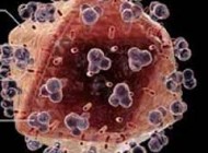 10 باور غلط درباره بیماری ایدز و ویروس HIV