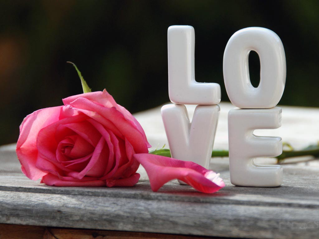 عکس های جذاب و عاشقانه 2016