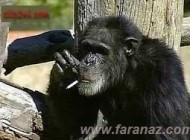 عکس های خنده ار و ترول جدید(3)