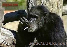 عکس های خنده ار و ترول جدید(3)