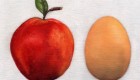 رژیم غذایی کامل لاغر کننده آسان و ارزان