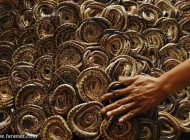 عکس هایی ترسناک از کشتارگاه مار در اندونزی