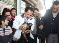 گوسفندی که در لحظه مرگ 4 قلو زایید+عکس