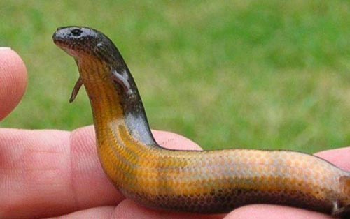 عکس نوشته های خنده دار و جالب (2)