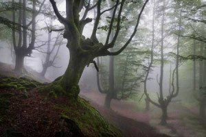 پارکی بسیار زیبا و اعجاب انگیز در شمال اسپانیا + تصاویر