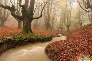 پارکی بسیار زیبا و اعجاب انگیز در شمال اسپانیا + تصاویر