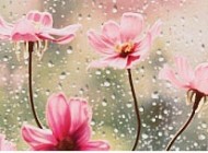 گلچینی از زیباترین شعرهای عاشقانه
