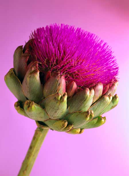 تصاویر دیدنی و جالب-چهارشنبه 5 شهریور 93