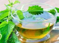 درمان مؤثر کم خونی با گیاه گزنه