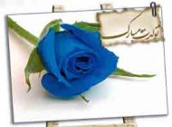 جملات زیبا تبریک تولد (5)