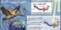 چطور پرندگان مسیر خود را می‌یابند؟