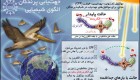 چطور پرندگان مسیر خود را می‌یابند؟