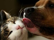 تصاویر دیدنی و جالب-جمعه 24 مرداد 93