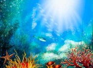 تصاویر دیدنی و جالب-پنج شنبه 6 شهریور 93