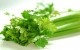 خواص دارویی و درمانی کرفس چیست؟-