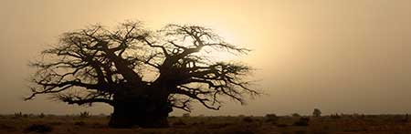 تصاویر دیدنی و جالب-پنج شنبه 13 شهریور 93