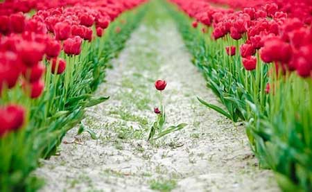 تصاویر دیدنی و جالب-پنج شنبه 13 شهریور 93