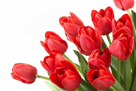 تصاویر دیدنی و جالب روز-جمعه 21 شهریور 93