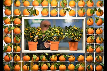 تصاویر دیدنی و جالب روز-پنج شنبه 20 شهریور 93