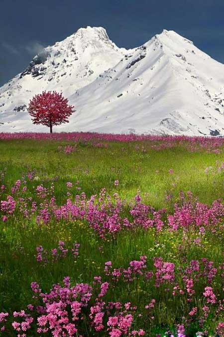 تصاویر دیدنی و جالب روز-سه شنبه 1 مهر 93