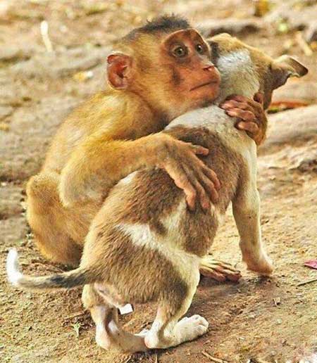 تصاویر دیدنی و جالب روز-چهارشنبه 26 شهریور 93
