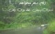 جملات زیبای عاشقانه و دلنشین