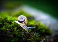 تصاویر دیدنی و جالب روز-سه شنبه 25 شهریور 93