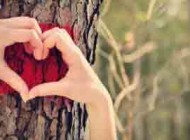 عشق حاکم بین شما و نامزدتان چگونه است؟