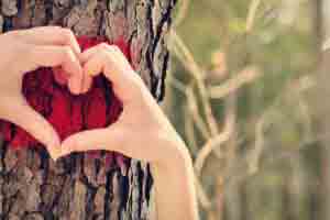 عشق حاکم بین شما و نامزدتان چگونه است؟