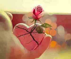 اس ام اس عاشقانه جدید (69) اس ام اس عاشقانه جدید (69)
