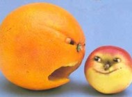 عکس های تزیین پرتقال برای فصل پاییز