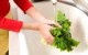 دو توصیه اساسی برای شست و شوی سبزیجات