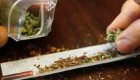 حشیش چیست و چقدر آن را می شناسید؟