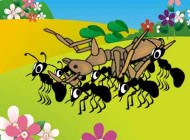داستان کوتاه کودکانه، ماشین مورچه‌ها خراب شده!