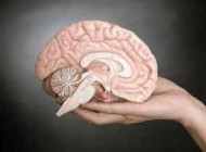 5 راه اصولی برای جوان کردن مغز و سلامت آن!