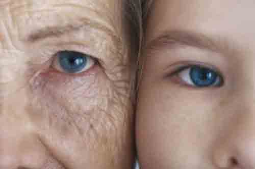گیاهان ضد پیری چه گیاهانی هستند؟ گیاهان ضد پیری چه گیاهانی هستند؟
