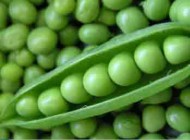 رابطه مصرف نخود فرنگی و کنترل وزن