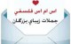 اس ام اس زیبا، فلسفی و معنی دار جدید (1)