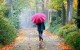 اس ام اس برای روزهای بارونی و زیبا