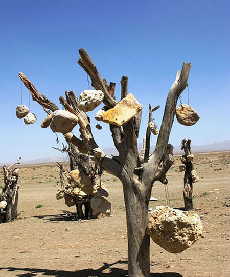 باغی که درختانش میوه های سنگی دارد + عکس