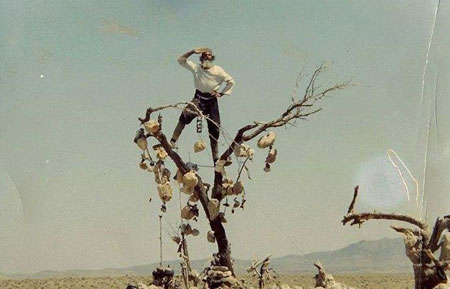 باغی که درختانش میوه های سنگی دارد + عکس