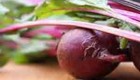 رژیم لاغری و کاهش وزن به کمک چغندر