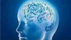 برای افزایش حافظه در چند دقیقه مغز خود را تحریک کنید