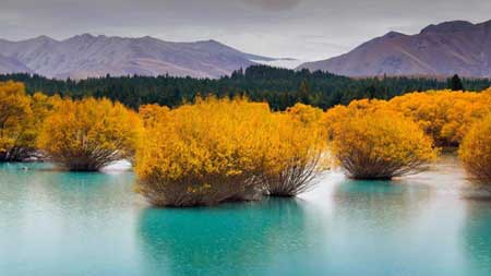 تصاویری زیبا از گشت و گذار در طبیعت وحشی نیوزیلند