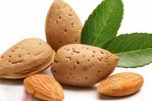 مغز آجیلی برای از بین بردن چربی های شکم مغز آجیلی برای از بین بردن چربی های شکم