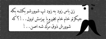عکس نوشته های جدید طنز و خنده دار “زن باس…”