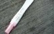 بی بی چک و طرز استفاده از آن