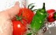 ایمنی غذا برای مبتلایان به ویروس ایدز