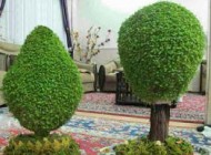چگونه سبزه درختی برای عید نوروز درست کنیم؟