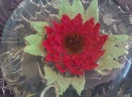 آموزش تصویری تزریق ژله یا ژله تزریقی